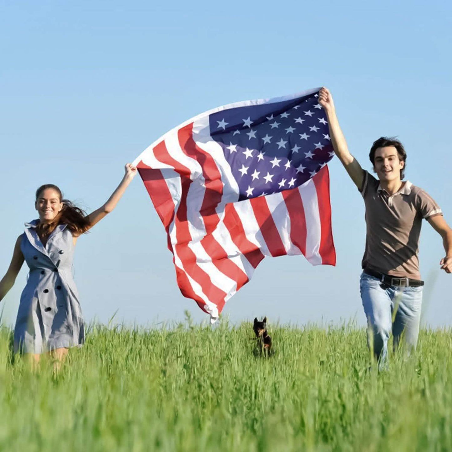 4-Pack: American US Flags DailySale