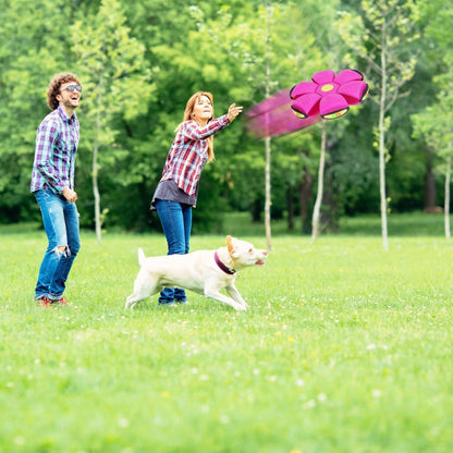 4-Pack: Flying Saucer Ball with LED Lights DailySale