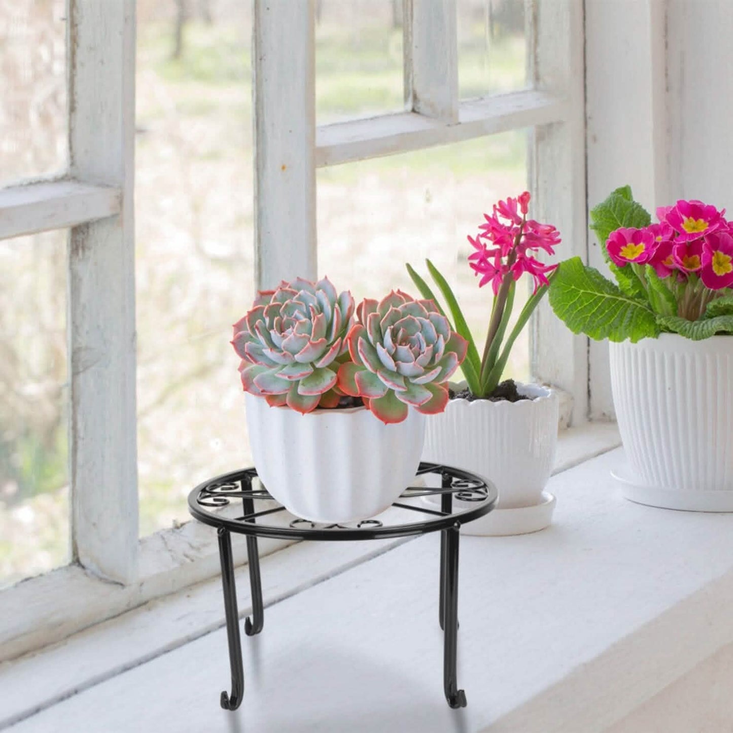 4-Pack: Iron Plotted Plant Stands DailySale
