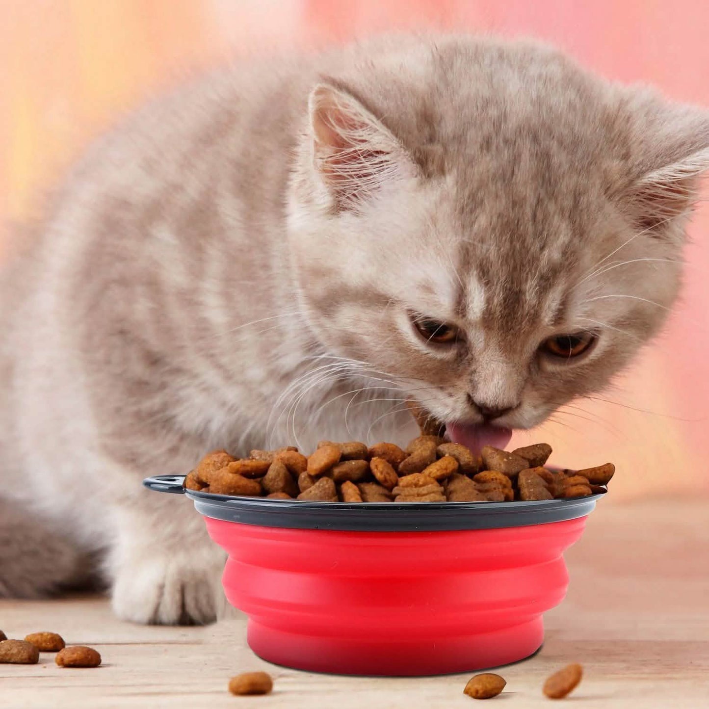 4-Pack: Silicone Collapsible Dog or Cat Food Water Bowl DailySale