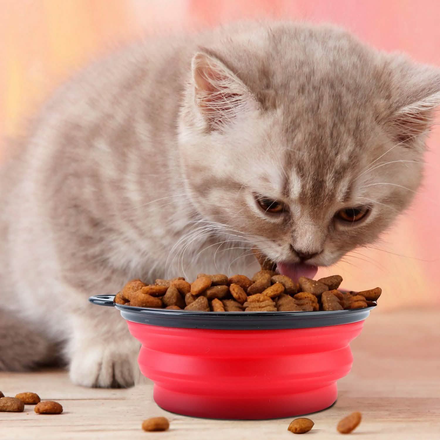 4-Pack: Silicone Collapsible Dog or Cat Food Water Bowl DailySale