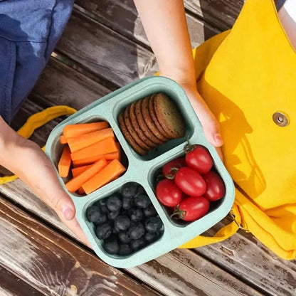 4-Pack: Snack Container With 4 Compartments, Divided Bento Lunch Box With Transparent Lids DailySale