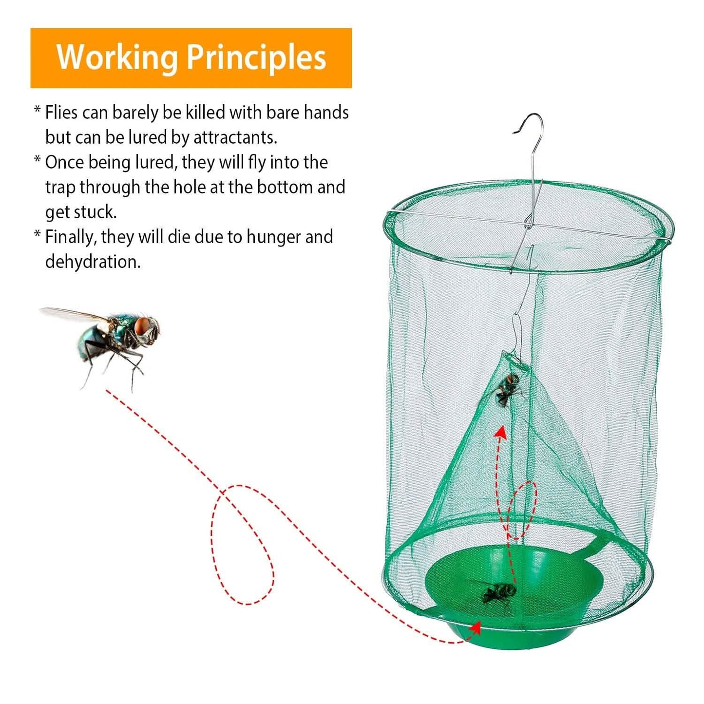 4-Piece: Ranch Fly Trap with Bait Set DailySale