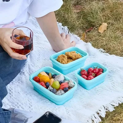 4-Piece Set: Plastic Food Storage Containers With Lids DailySale