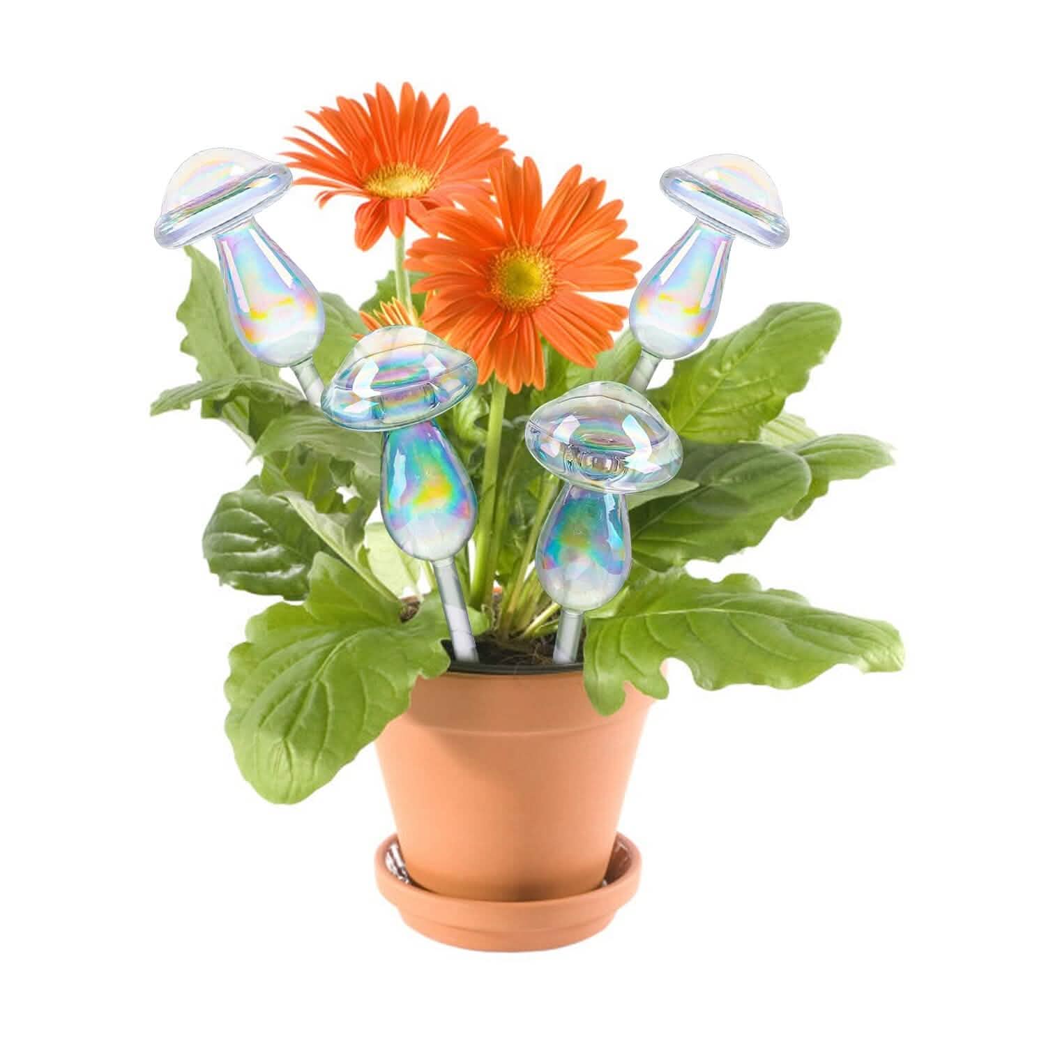 4-Pieces: Clear Glass Plant Watering Globes Iridescent Rainbow Gradient Mushroom DailySale