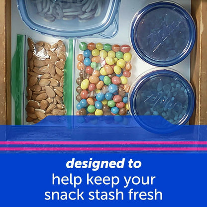 450 ct Ziploc Storage Snack Bags DailySale