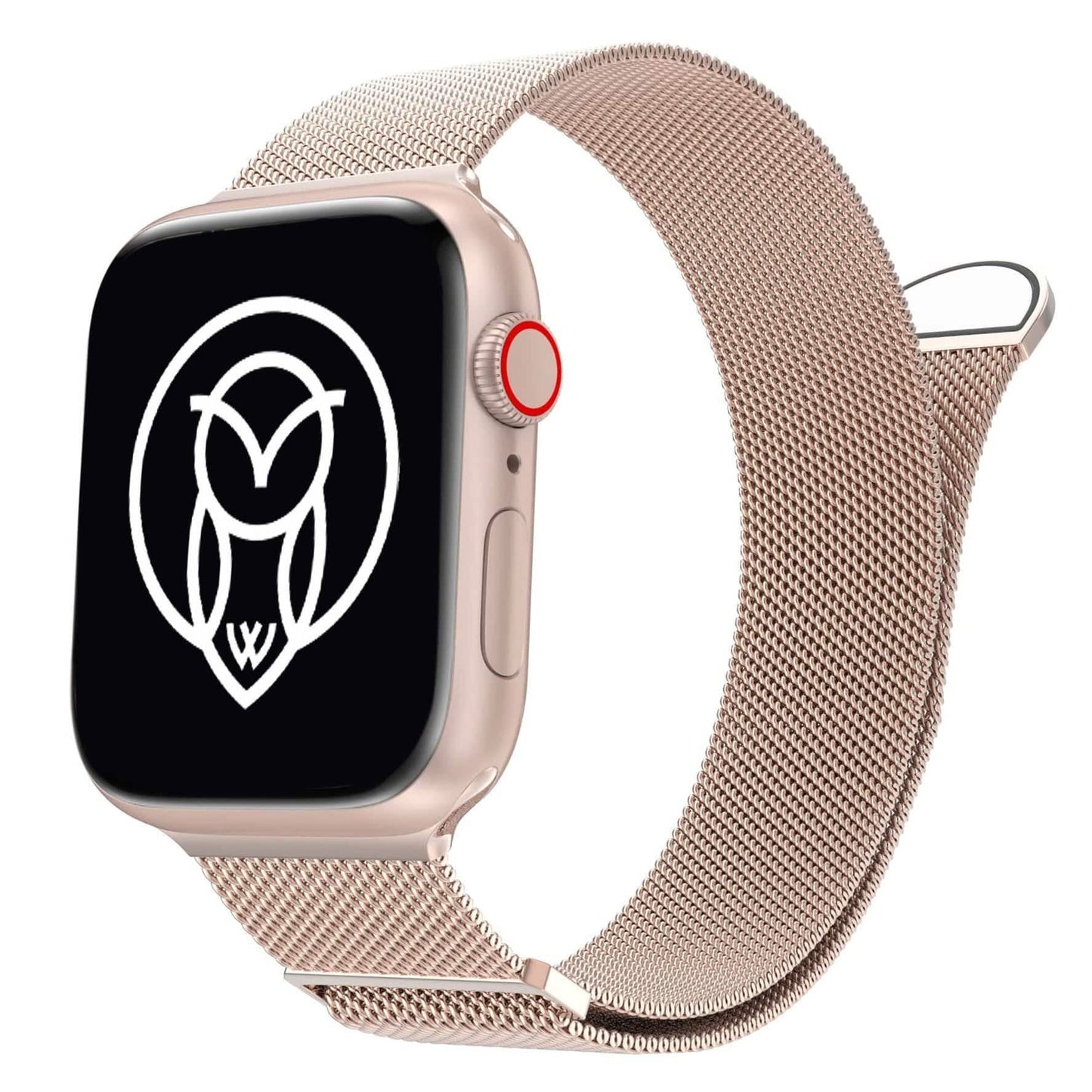 WizeBand Starter Kit WizeBand