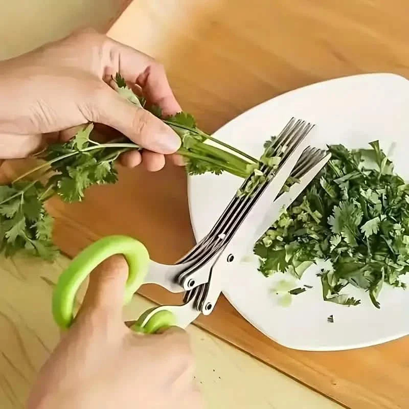 5-Blade Stainless Steel Herb Scissors Set - Versatile Kitchen Shears DailySale