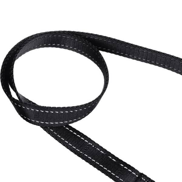 5 Foot Padded Single Handle Dog Leash DailySale