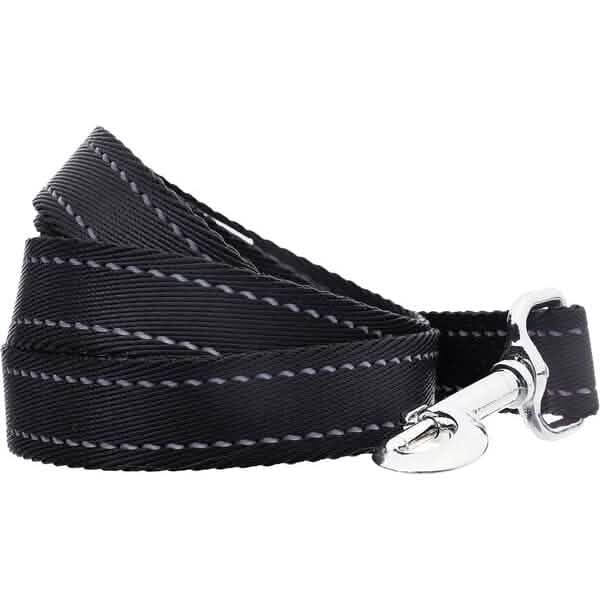 5 Foot Padded Single Handle Dog Leash DailySale