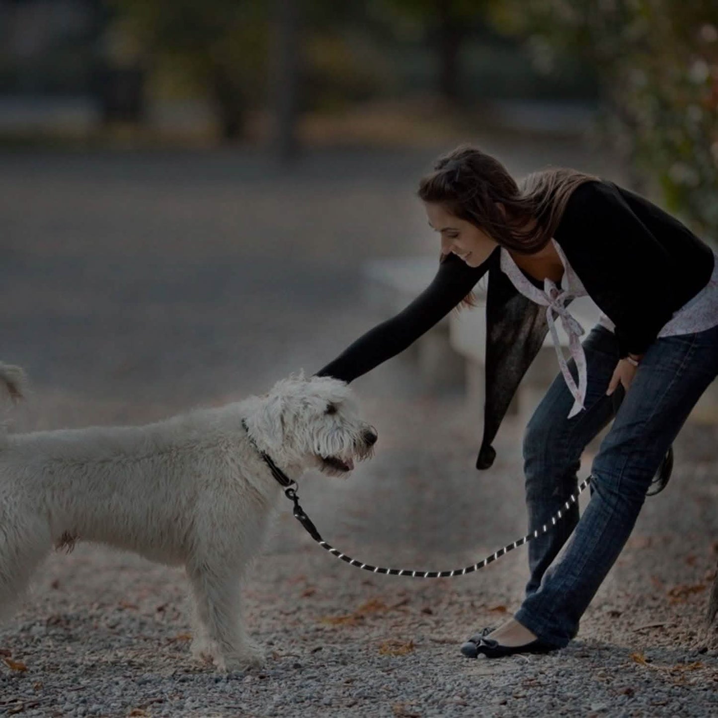 5 Ft. Dog Leash with Foam Handle DailySale