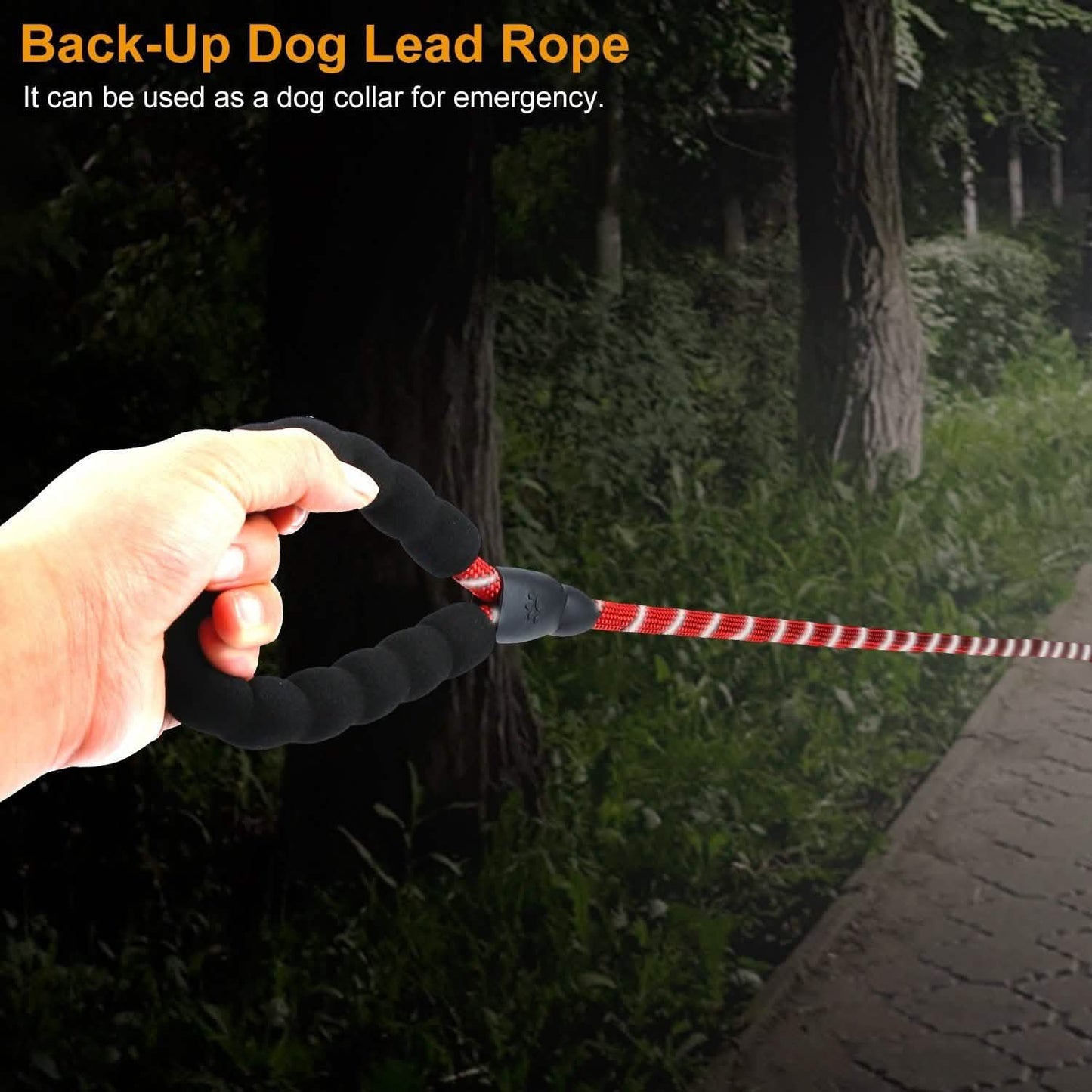5 Ft. Dog Leash with Foam Handle DailySale