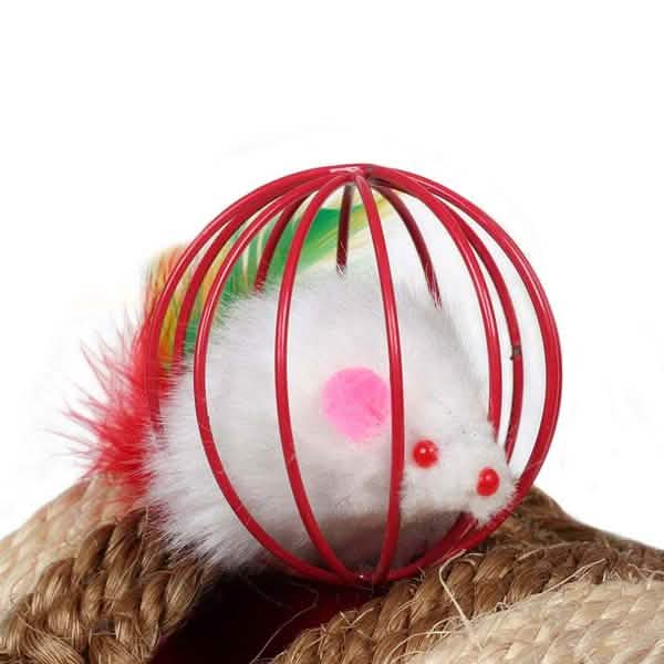 5-Pack: Pet Cat Kitten Playing Mouse Ball Cage DailySale