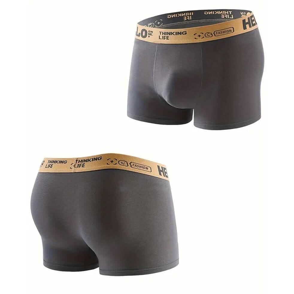 5-Pack: Plus Size Men's Boxer Briefs DailySale