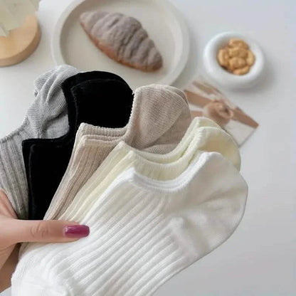 5-Pairs: Women's No-Show Socks, Elegant Solid Colors DailySale