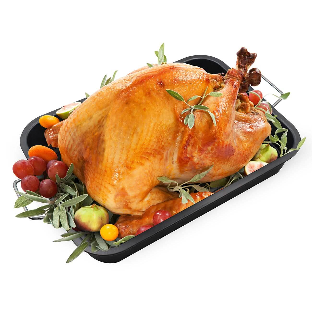 5-Piece Set: Non-Stick Roaster Pan Set DailySale