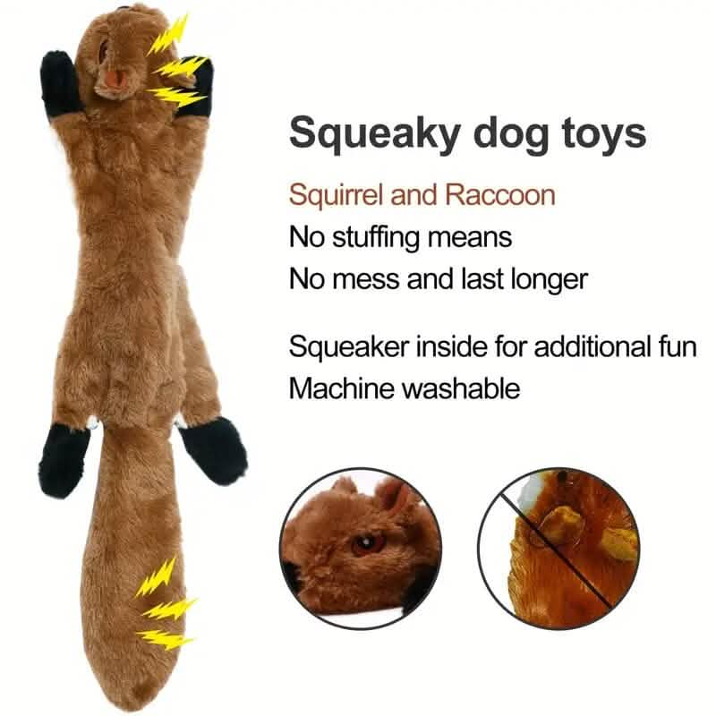 5-Pieces: Pet Toy Set DailySale