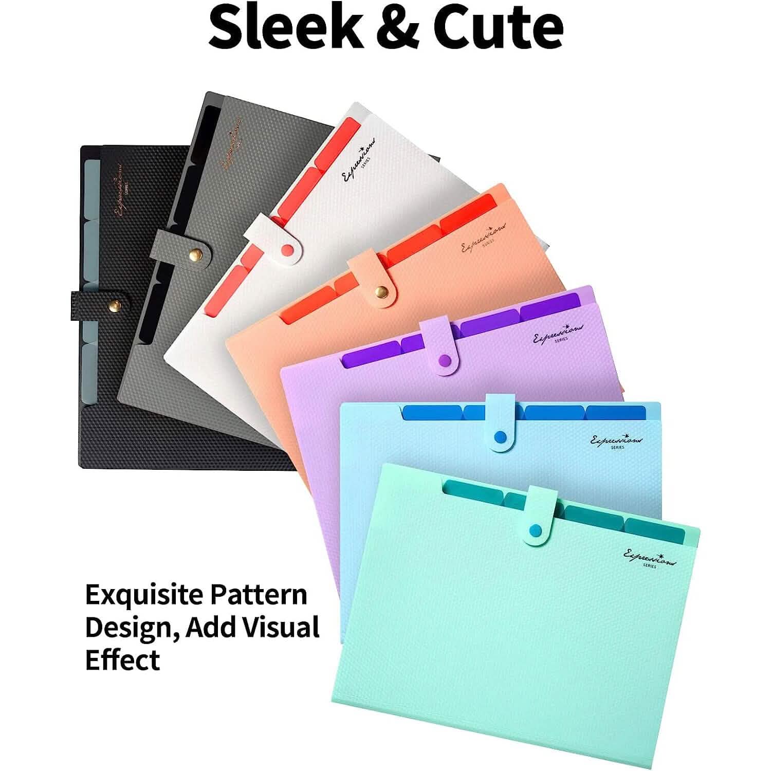 5 Pocket Folder with Labels, Letter Size Expanding File Folder Organizer DailySale
