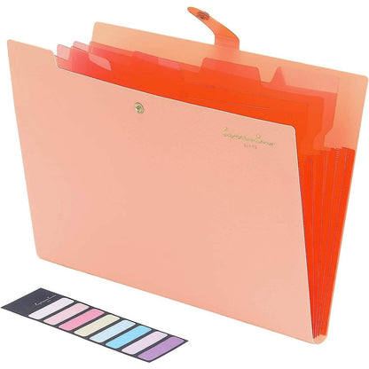 5 Pocket Folder with Labels, Letter Size Expanding File Folder Organizer DailySale