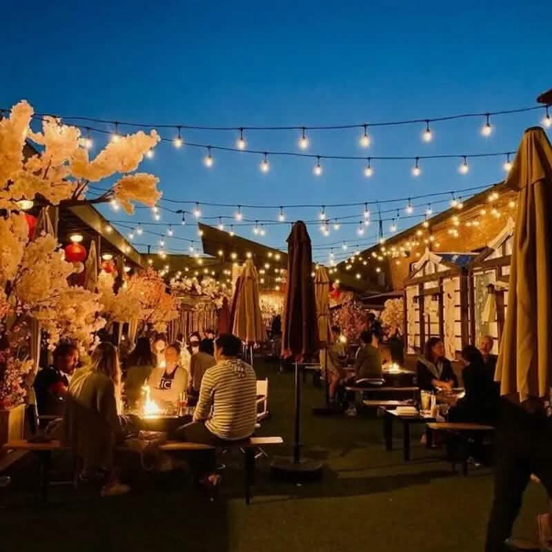 50 Ft. Solar String Outdoor Lights with Remote ST38 Vintage Edison Bulbs DailySale