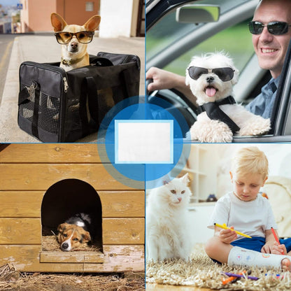 50-Piece: Dog Training Pads DailySale