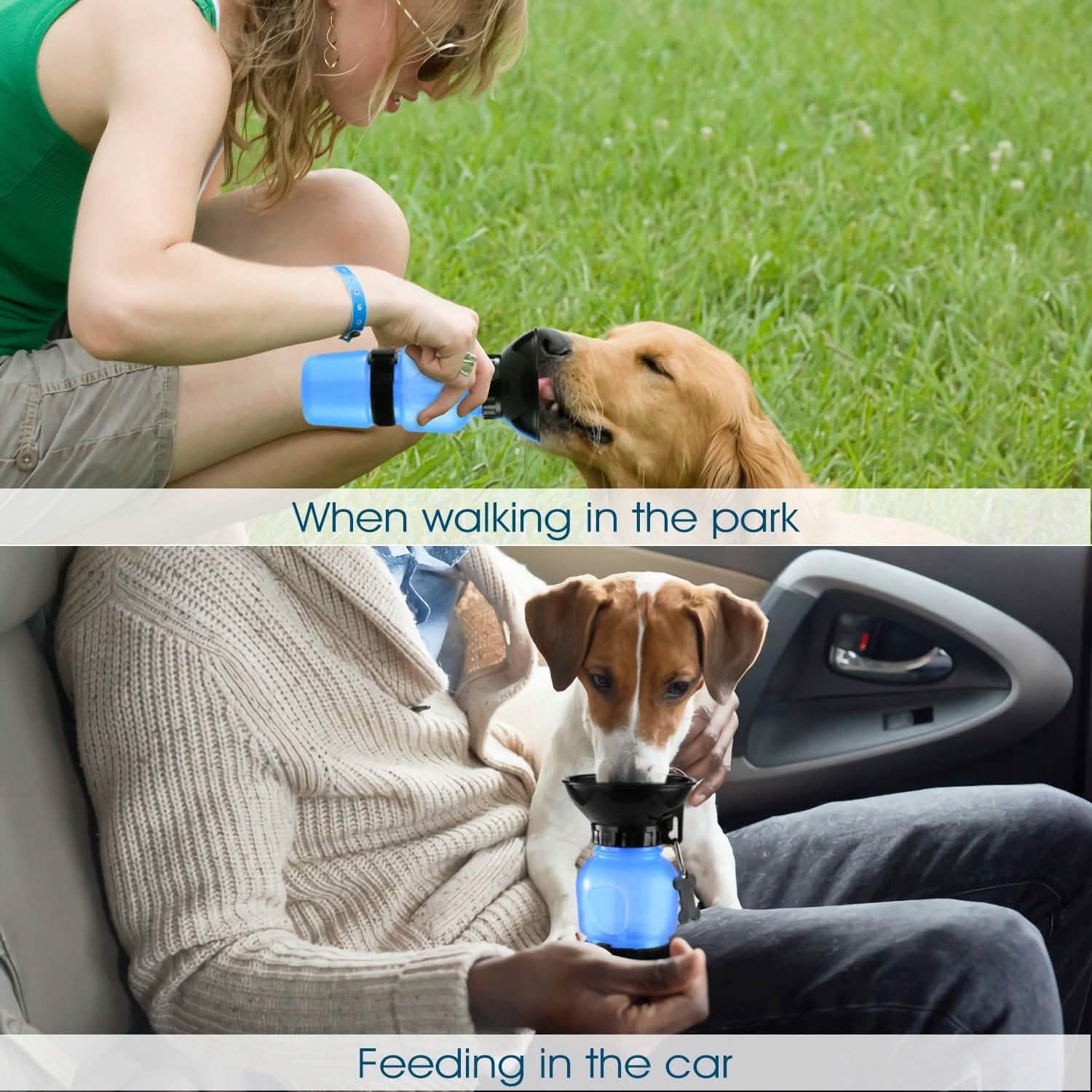 500ml Pet Water Bottle Portable Water Cup DailySale