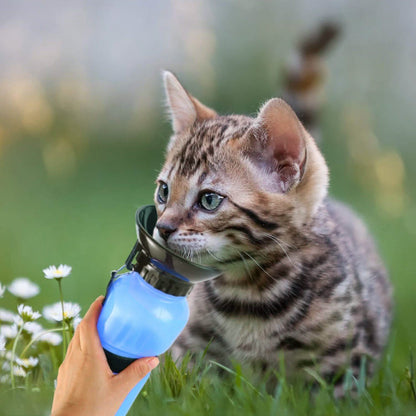 500ml Pet Water Bottle Portable Water Cup DailySale