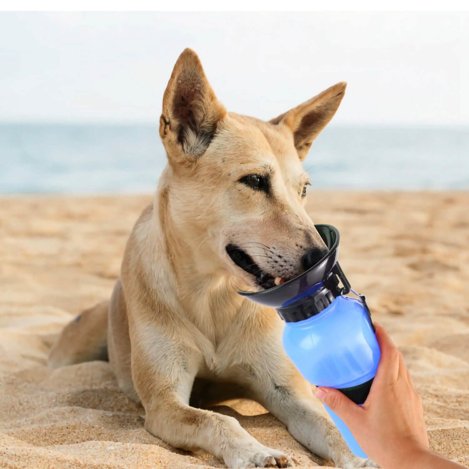 500ml Pet Water Bottle Portable Water Cup DailySale
