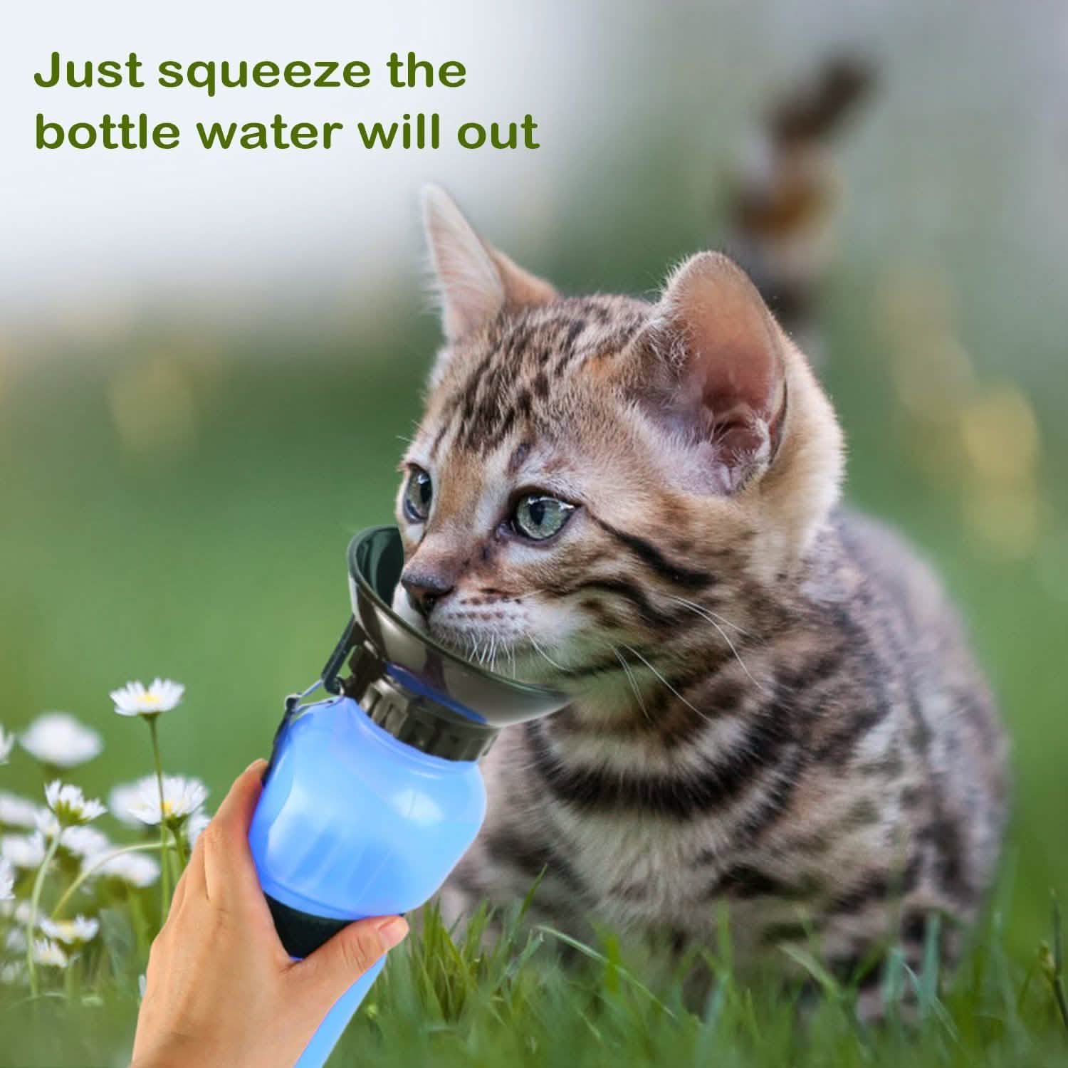500ml Pet Water Bottle Portable Water Cup DailySale