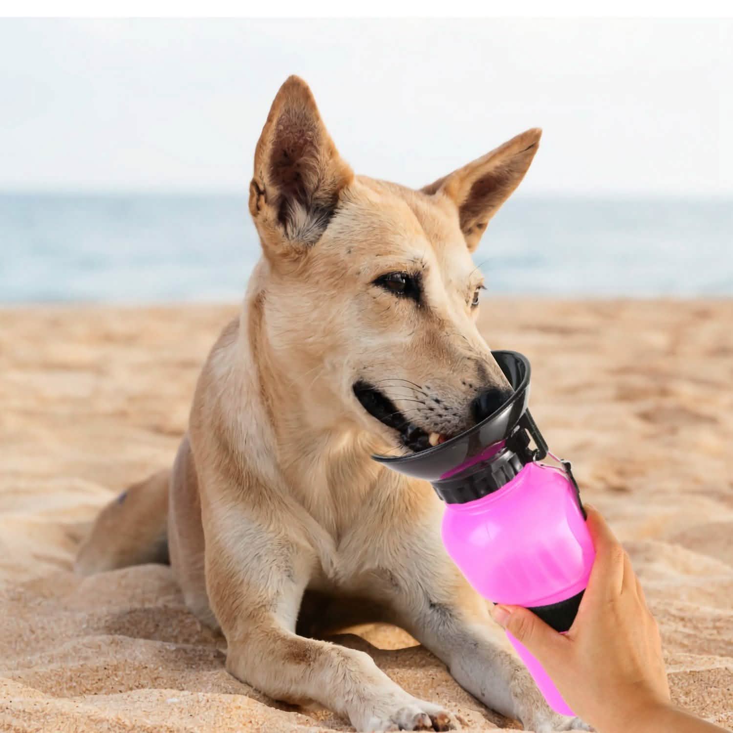 500ml Pet Water Bottle Portable Water Cup DailySale