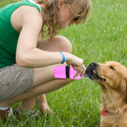 500ml Pet Water Bottle Portable Water Cup DailySale