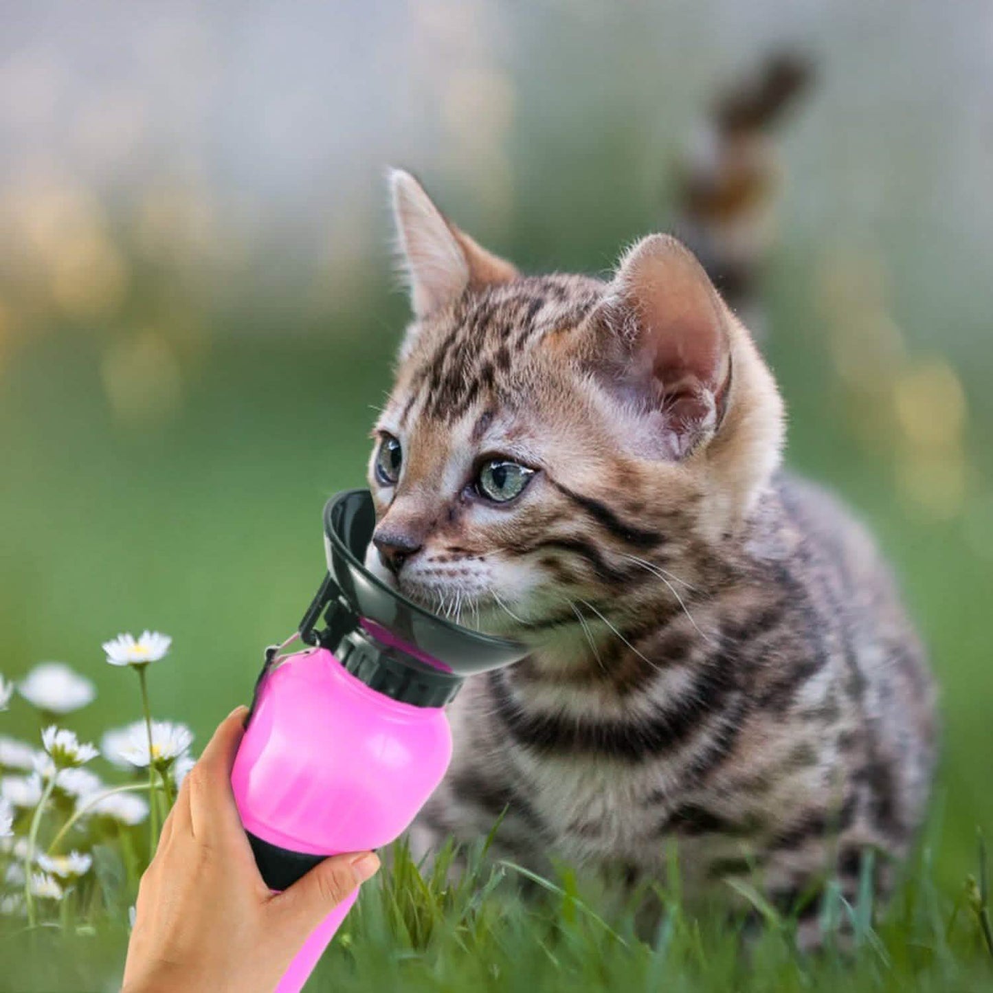500ml Pet Water Bottle Portable Water Cup DailySale