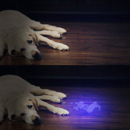 51 LED Ultraviolet Blacklight DailySale