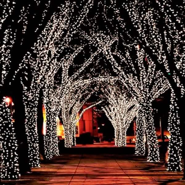 55' Solar-Powered 100-LED Fairy Light String - Warm White DailySale