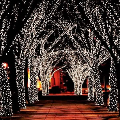 55' Solar-Powered 100-LED Fairy Light String - Warm White DailySale