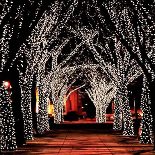 55' Solar-Powered 100-LED Fairy Light String - Warm White DailySale