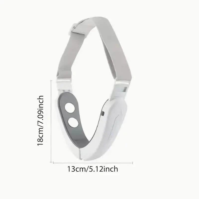 6-Mode 12-Speed Rechargeable V-Face Instrument DailySale