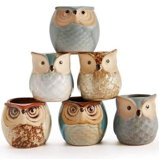 6-Pack: 2.5 Inch Owl Pot Ceramic Base DailySale