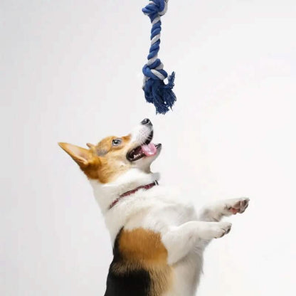 6-Pack: Durable Squeaky Dog Toys DailySale