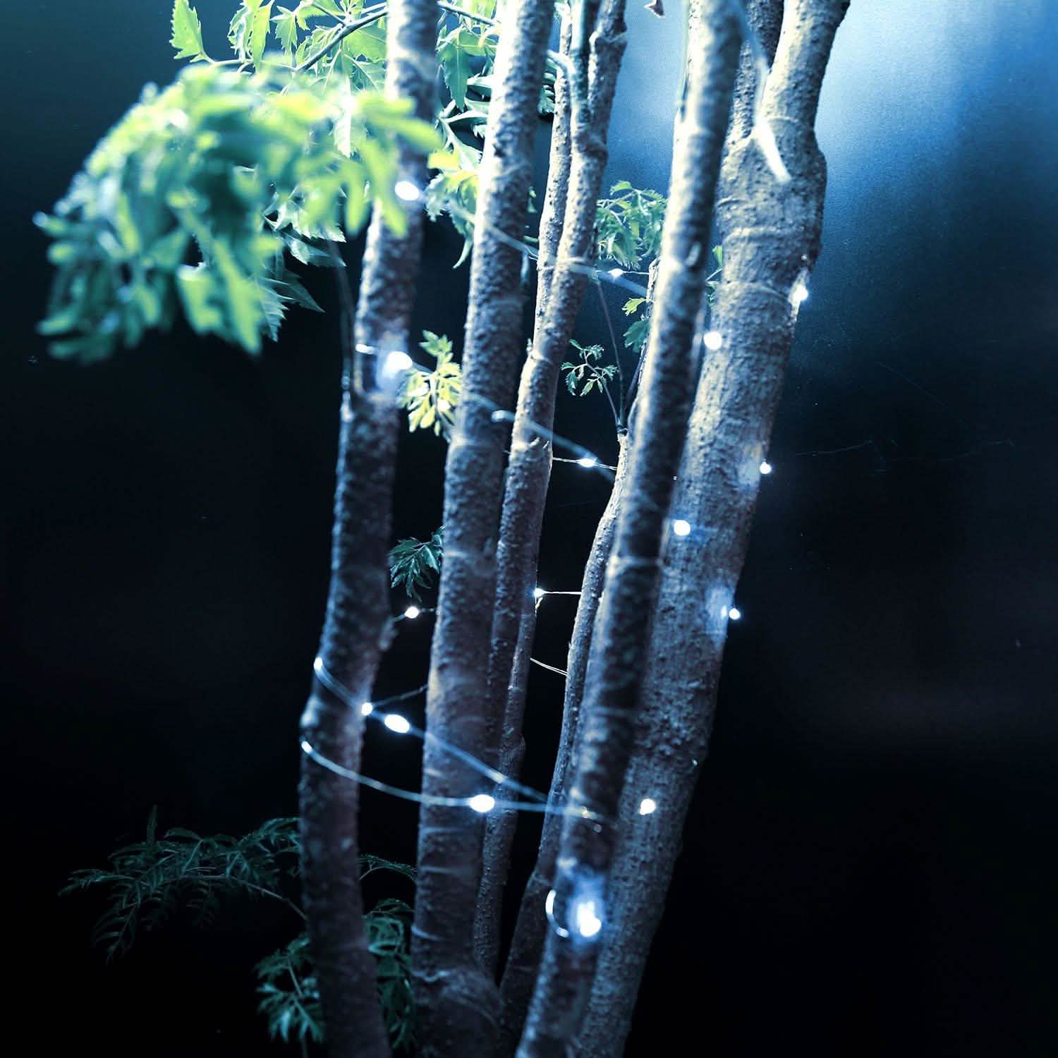 6-Pack: LED String Lights DailySale