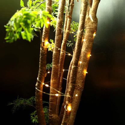 6-Pack: LED String Lights DailySale