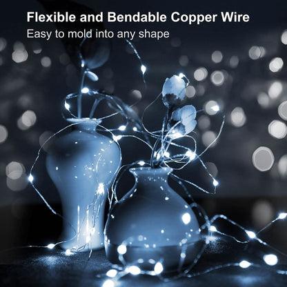 6-Pack: LED String Lights DailySale