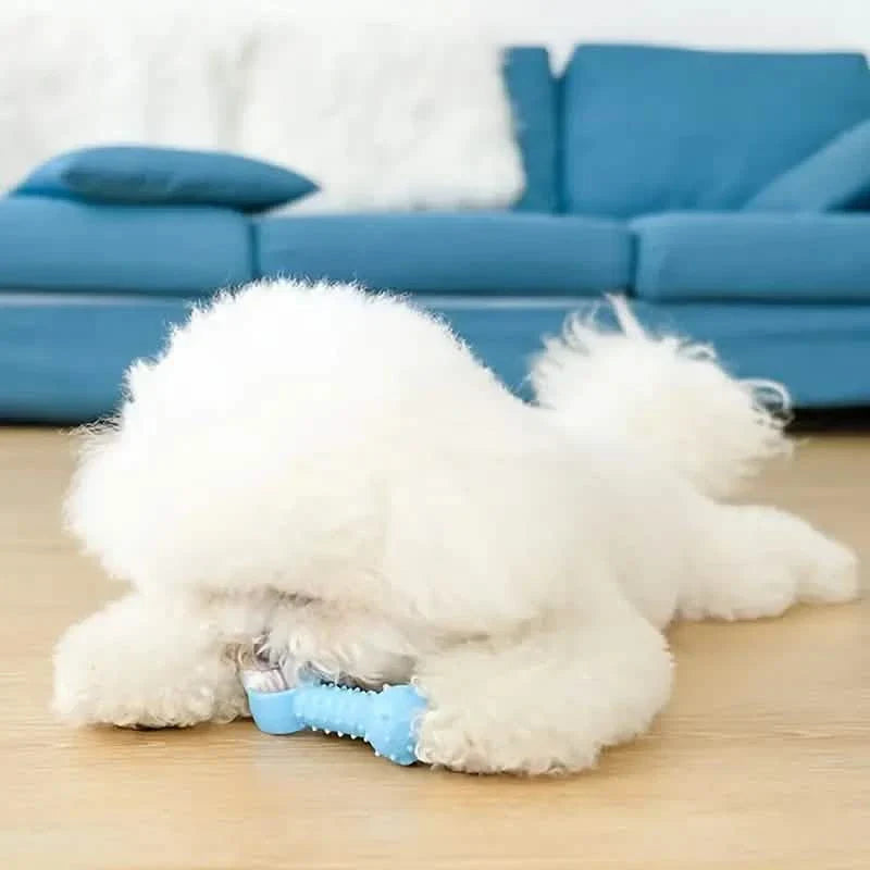 6-Pack: Puppy Teething Chew Toys with Interactive Ropes DailySale