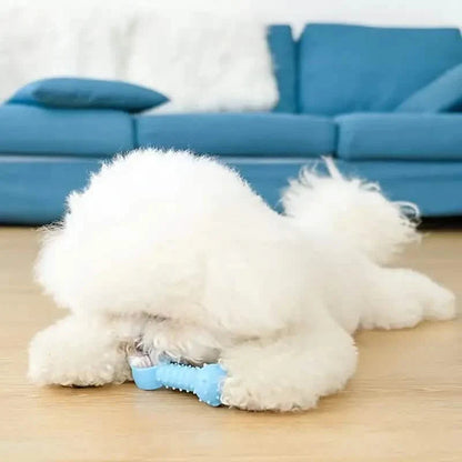 6-Pack: Puppy Teething Chew Toys with Interactive Ropes DailySale