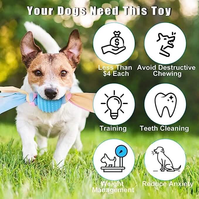 6-Pack: Puppy Teething Chew Toys with Interactive Ropes DailySale