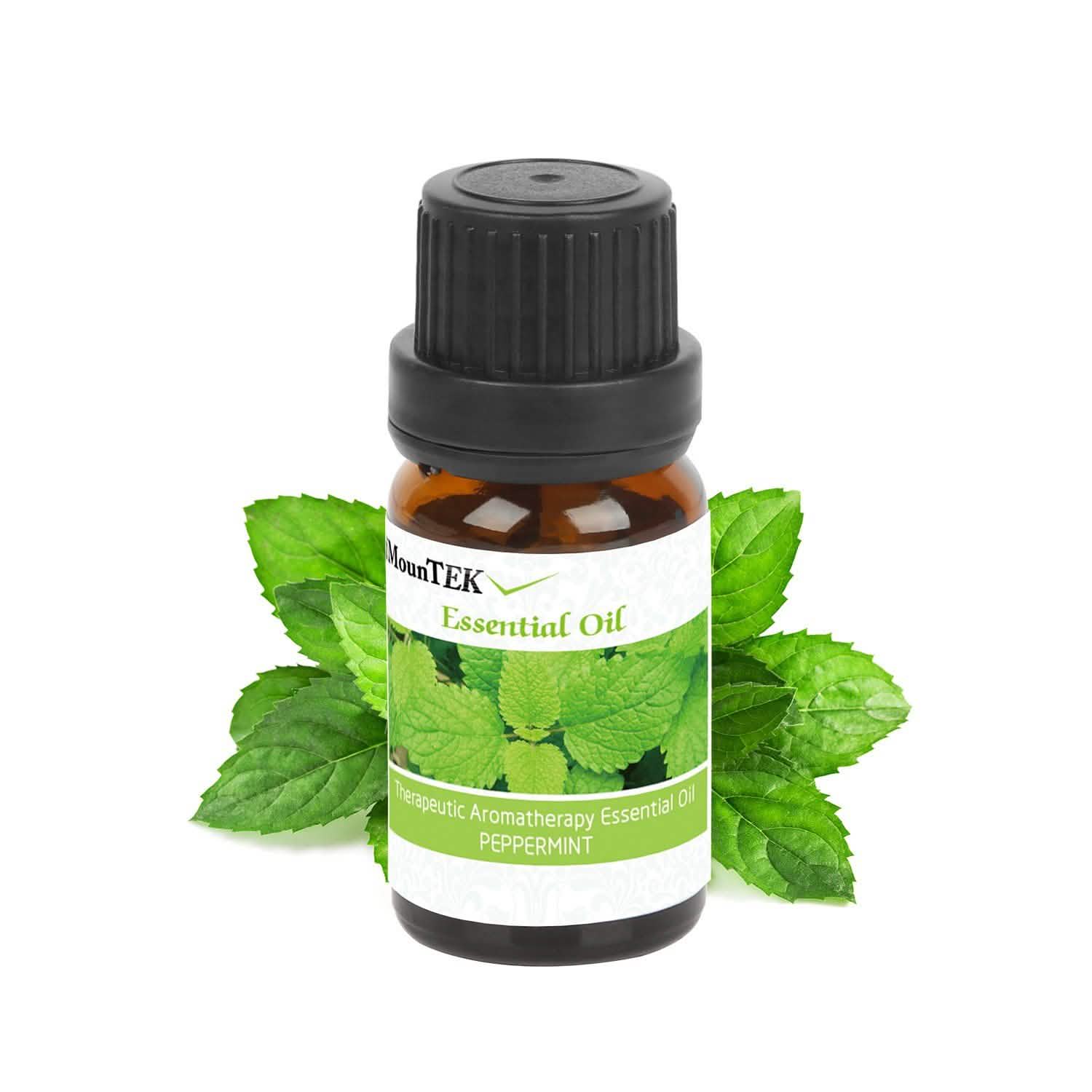 6-Pack: Therapeutic Aromatherapy Essential Oils Bottle DailySale