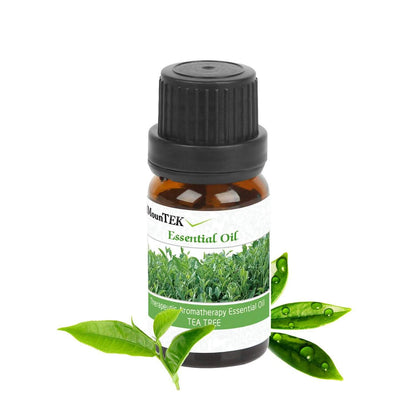 6-Pack: Therapeutic Aromatherapy Essential Oils Bottle DailySale