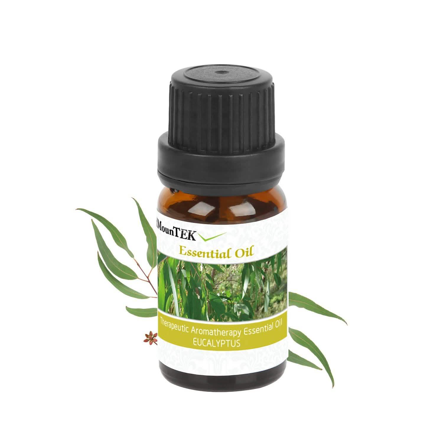 6-Pack: Therapeutic Aromatherapy Essential Oils Bottle DailySale