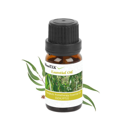 6-Pack: Therapeutic Aromatherapy Essential Oils Bottle DailySale