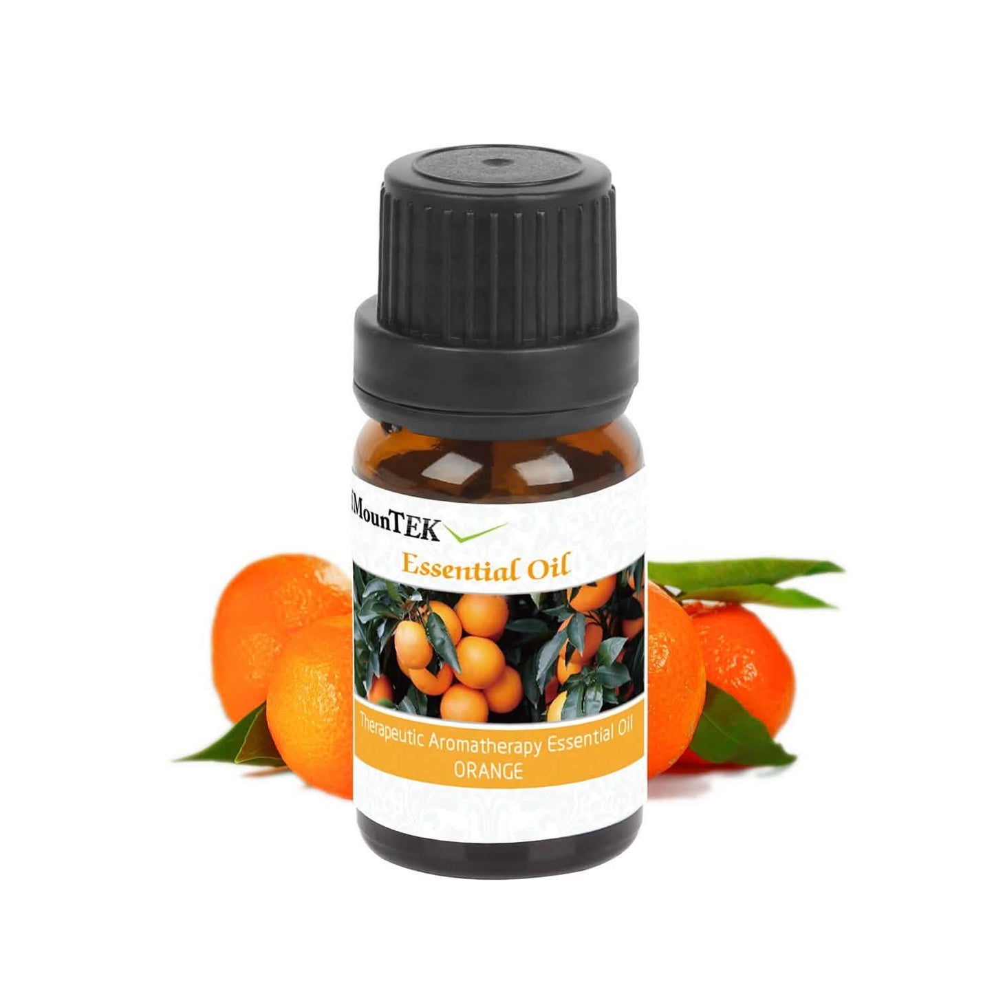 6-Pack: Therapeutic Aromatherapy Essential Oils Bottle DailySale